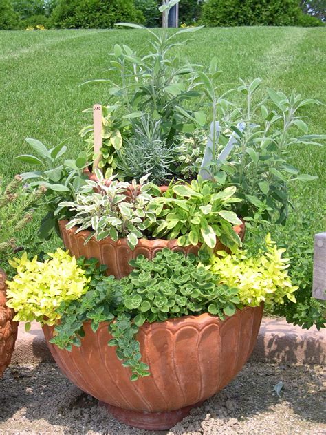 th?q='Container Herb Garden' image